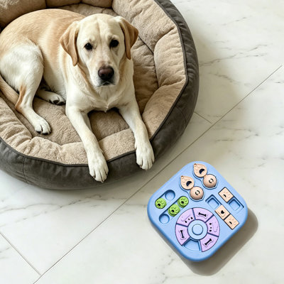 Jouet pour chien interactif pour petits / moyens chiens, distributeur de friandises à alimentation lente 4 en 1