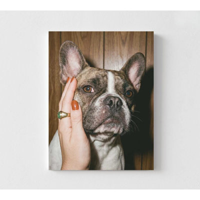 Frenchie Wall Art, Retro Bulldog Print (Multiple Sizes & Frames)