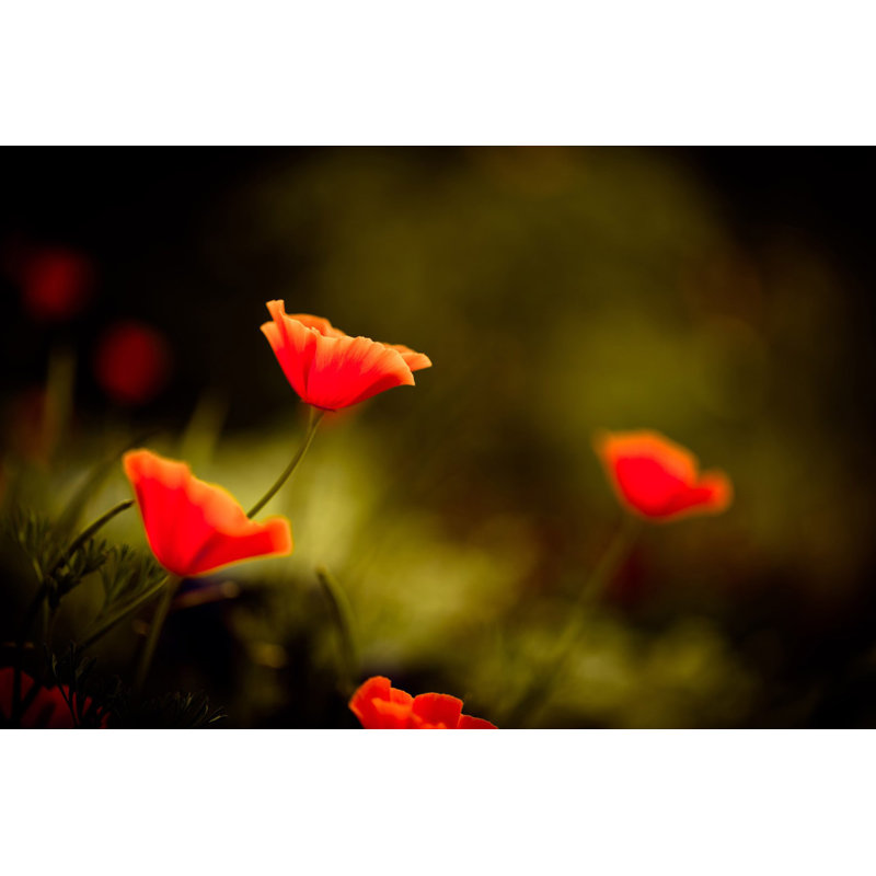 1 Piece Wrapped Canvas Wall Art, 101cm H x 152cm W x 3.81cm D