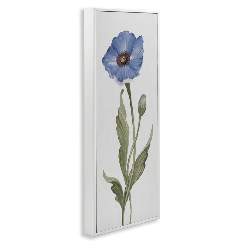 «Blooming Blue Poppy», estampe numérique par Elizabeth Medley, Estampe numérique encadrée blanc bord de mer