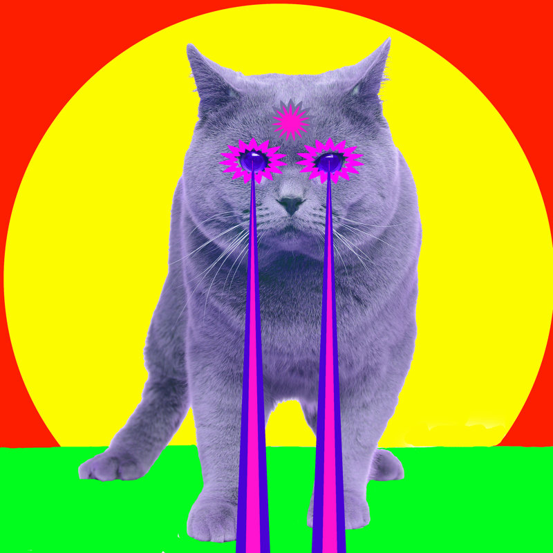 Cat with Lasers from Eyes 1 Piece Wrapped Canvas Wall Art, 91cm H x 91cm W