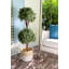 Topiaire buis-612203727-612203724