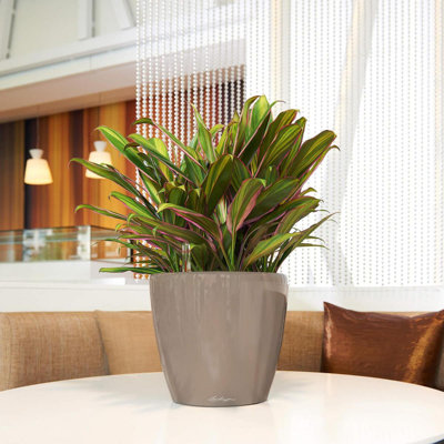 Classico Pot Planter