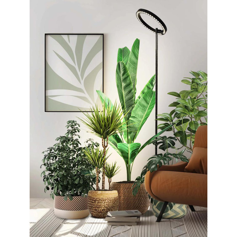 Adjustable Black LED Floor Plant Grow Lamp with Timer