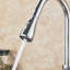 Belfry Kitchen Fitzgibbons Pull Out Kitchen Faucet