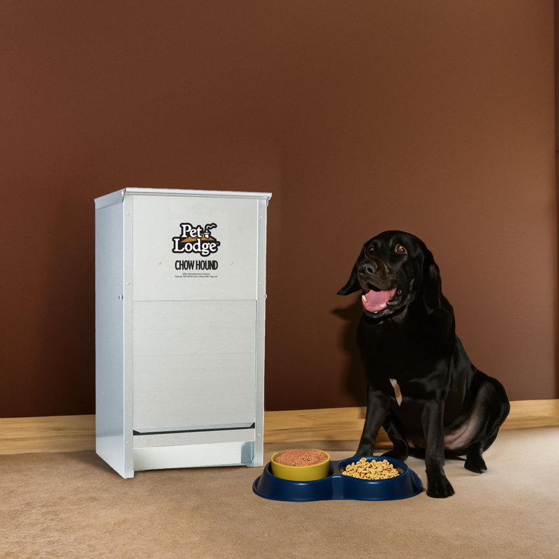 Automatic Feeder