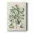 Buchoz Tropicals IX -Custom Wrapped Gallery Cavas-404582256