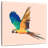 Brampt Macaw Parrot Flying-109368896