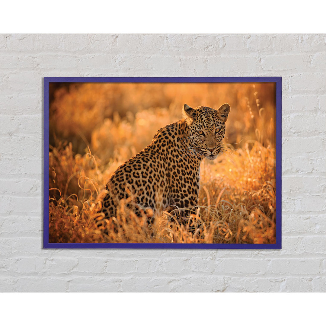 Leopard Sunset - Einzelner Bilderrahmen Kunstdrucke