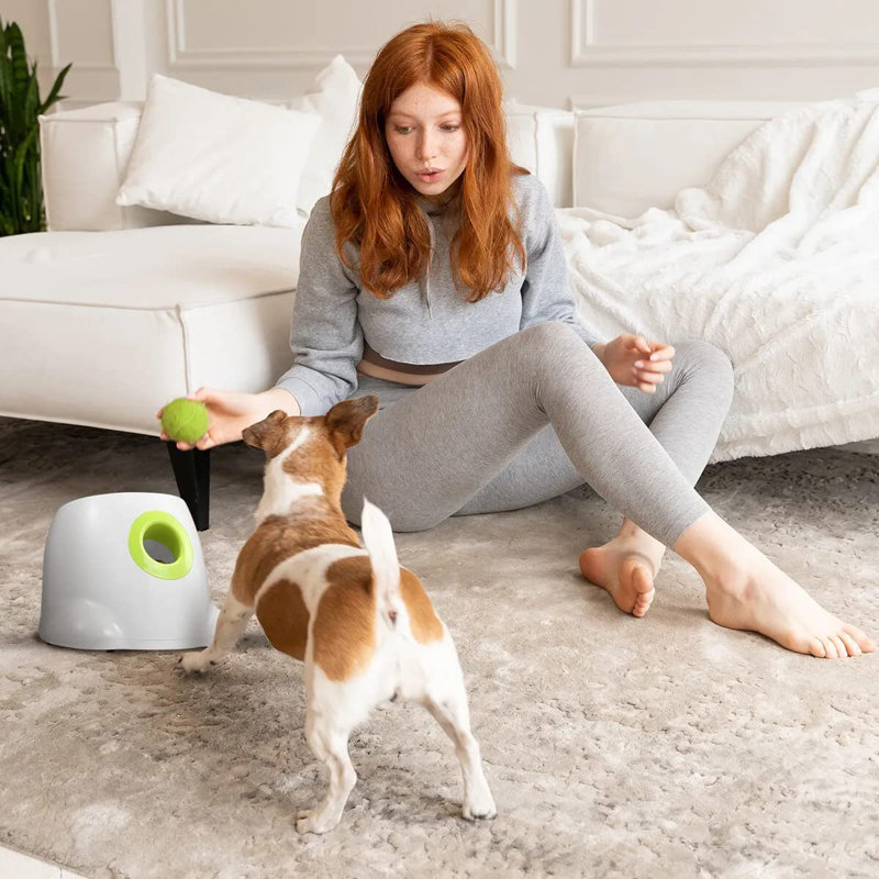 Mini-lance-balles pour chien Agility Équipement Interactives