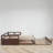 Keevis Solid Wood Daybed-1195992537