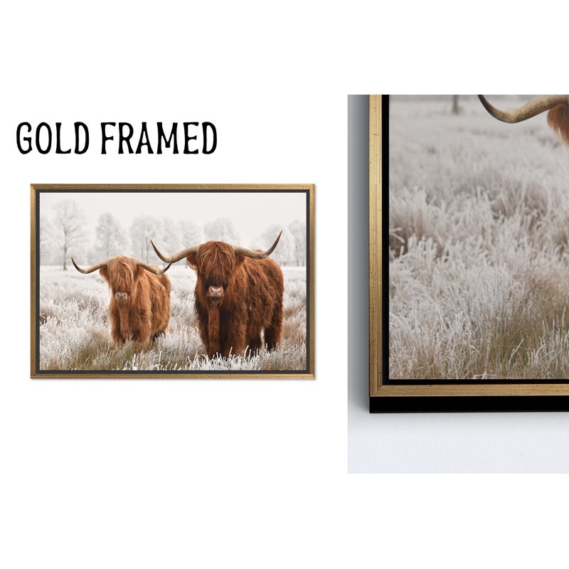 Impression sur toile Highland Cow: Scottish Farmhouse Decor, 1P GoldFramedCanves, 63,1 po H x 102,4 po l