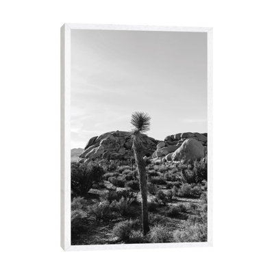 Joshua Tree National Park XVIII by Bethany Young - Print on Canvas