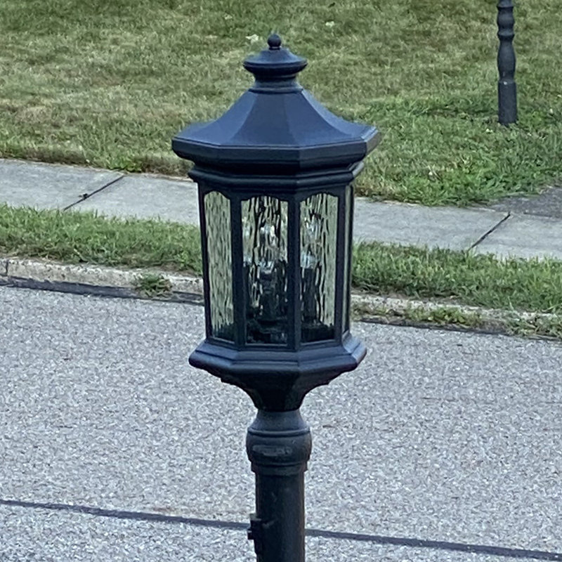 Raley 1 -Light 26.25" H Hardwired Lantern Head, Black