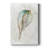 Pastel Shell I -Custom Wrapped Gallery Cavas-941783252