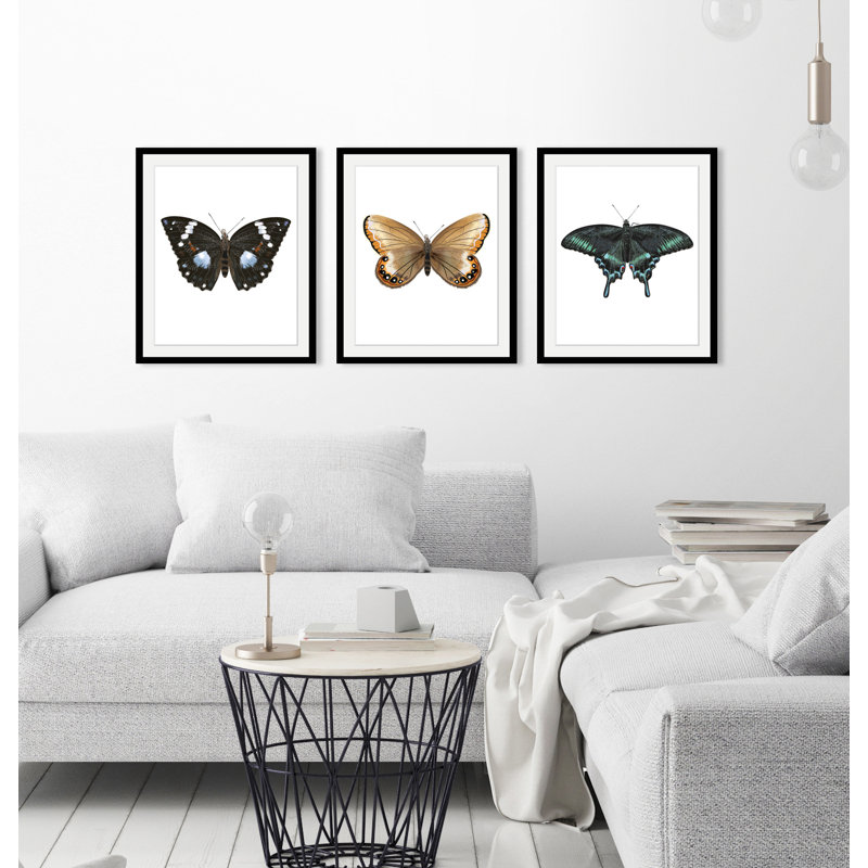 Butterfly - Single Picture Frame Print