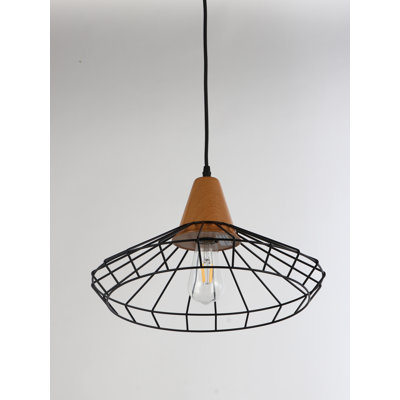 Danilo 1 - Light Single Pendant