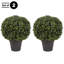 Ensemble de 2 buis artificiels Pure Garden