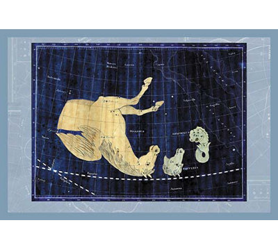«Delphinus, Equuleus and Pegassus # 1», reproduction d'art