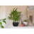 18 " H Faux Bamboo Plant in Resin Pot
