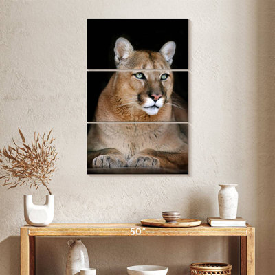 Brampt Majestic Wild Cat
