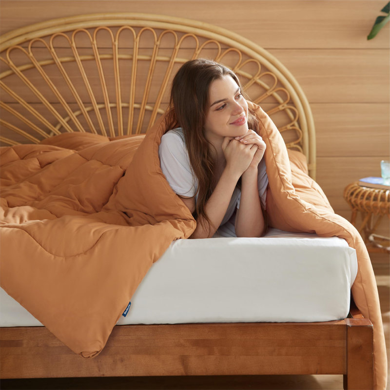 Bedsure King Box-Stitch Down Alternative Duvet Insert – Burnt Orange , All-Season Comforter, King Comforter, Burnt Orange