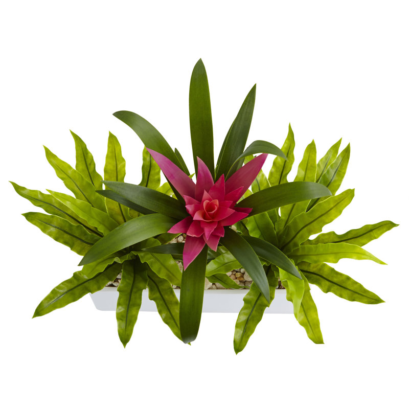 Agencement de fleurs en mélange de bromeliad/oiseau rectangulaire en pot à fleurs