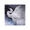 Egret Soiree Print by Beverly Fuller