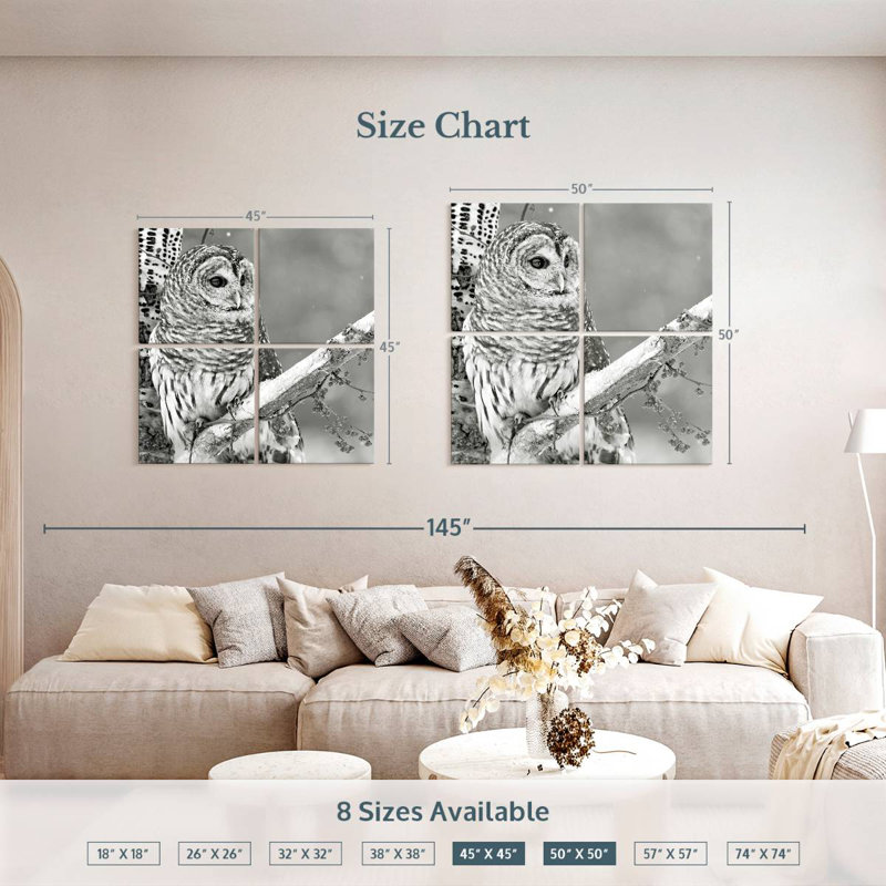 Hibou blanc Brampt BW, H 50 po x l 50 po
