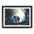 Black Framed