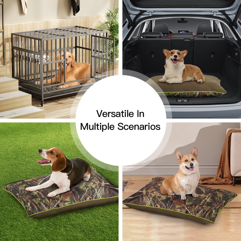 Coussin pour chien avec housse amovible, H 5,1 po x l 23,6 po x P 15,7 po