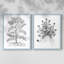 Reproduction encadrée de qualité supérieure B&W Plant Speciment IX - prête à être accrochée - aucun clou requis - aucun clou requis-1068397173-1068397174