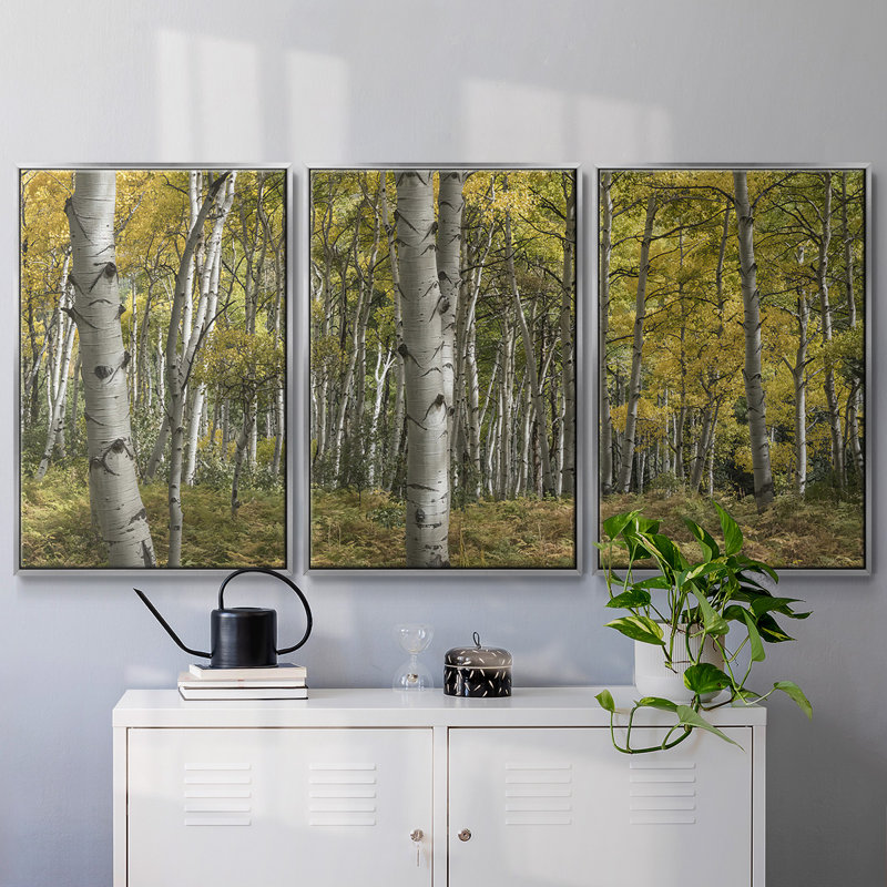 Aspen Grove II, reproduction sur toile 3 pièces, Argent, H 40 po x l 78 po x P 2 po