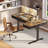 Electric Standing Desk With 4 Under-desk Drawers, Height-adjustable Desk With Built-in Power Outlets,standing Desk With Reversible Structure,home Office Desk With Hidden Desk-mounted Cable Management Tray-1002056768