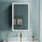 Maximes Recessed/Surface Mount Medicine Cabinet with Mirror, Defogger, Dimmer, Outlets & USBs and Interior Light-1263458402-1244239016