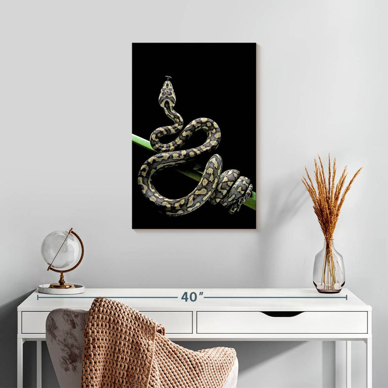 Poised Carpet Python, 24" H x 16" W