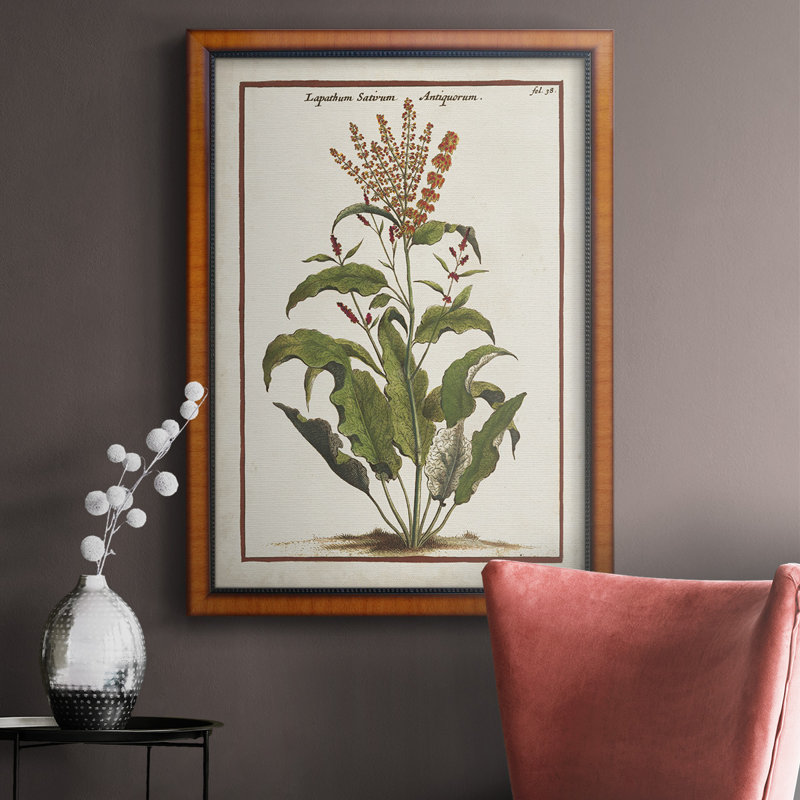 «Munting Botanicals I», toile encadrée de qualité supérieure - prête à être accrochée, H 27 po x l 18 po x P 2,5 po