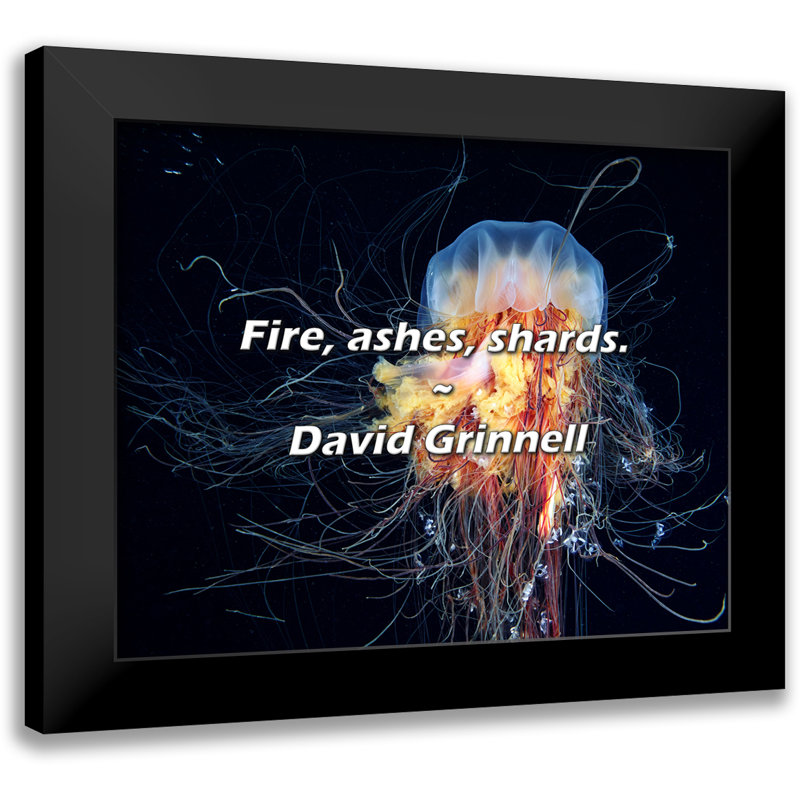 Citation de David Grinnell: Feu, cendres, éclats.