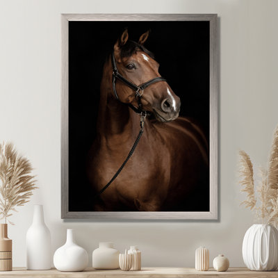 Horse Portrait - Animals Wall Art