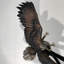 Bird Eagle Bronze Garden Statue