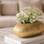 Vase en bois Juda