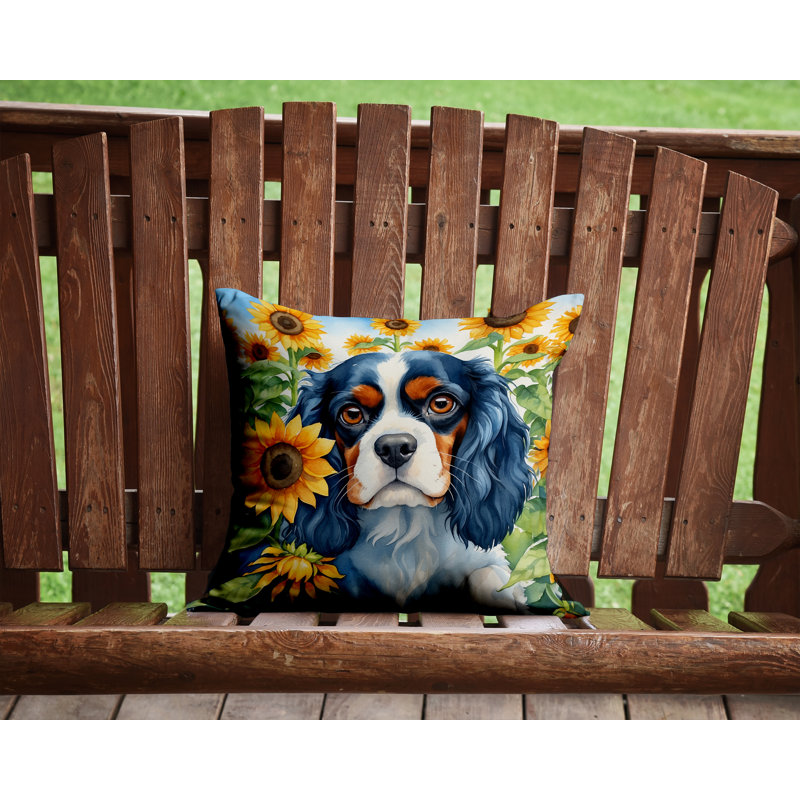 Other/No Pattern Outdoor Throw Pillow, 14"H x 14"W