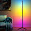 Blina 140cm Black LED Novelty Floor Lamp