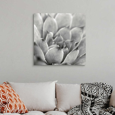 «Garden Succulent I», art mural sur toile