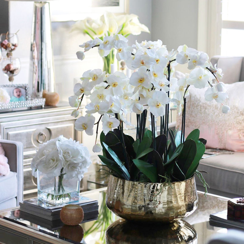 Pot à tiges d'orchidée Roberi, H 22 po x l 18 po x P 18 po, Blanc