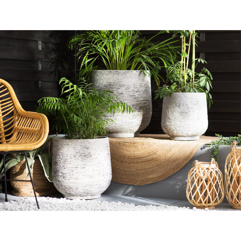 Cason Pot Planter, 54 cm H x 53 cm W x 53 cm D