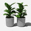 Pot à fleurs rond Demi Series-83894853-83894854-86823201