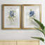 Blue Linen Peony - ensemble de 2 reproductions d'art-258934893-258934882-258934903