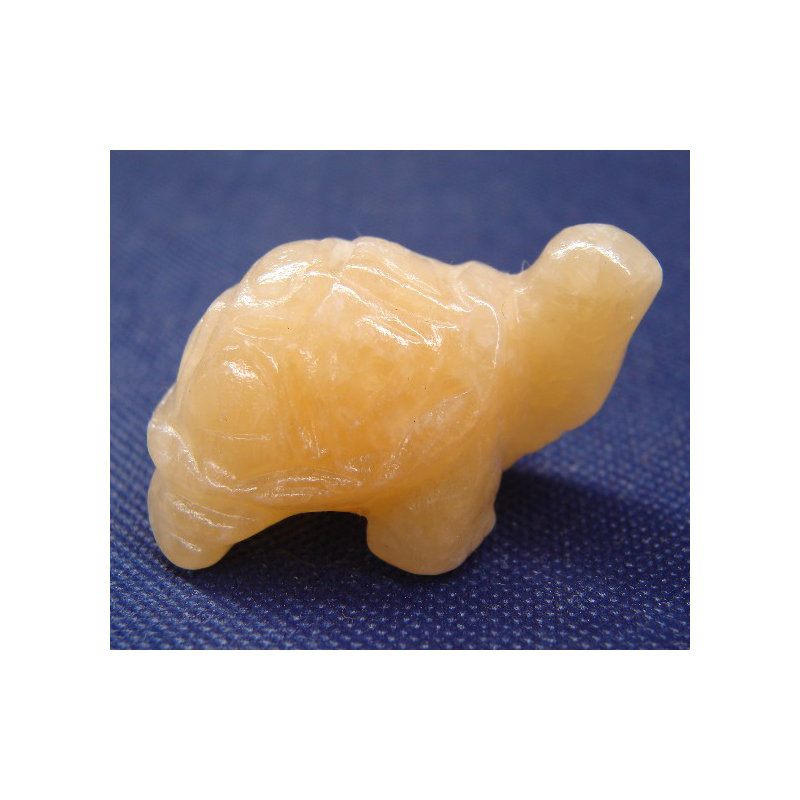 Figurine tortue Alli, Golden