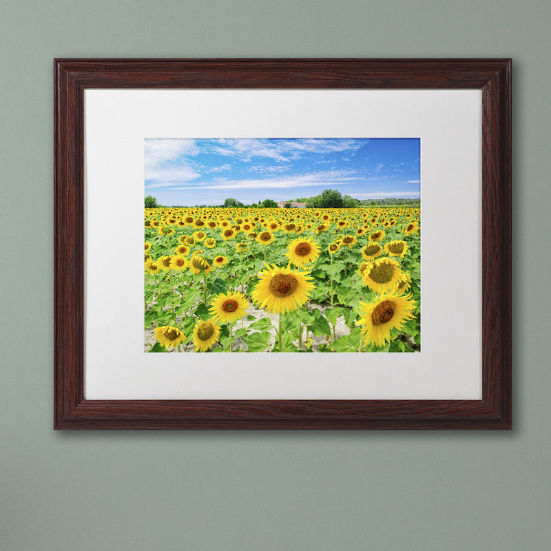 « champ de jaune » par reproduction de photo encadrée Michael Blanchette, H 11 po x l 14 po x P 0,5 po, Toile avec cadre brun